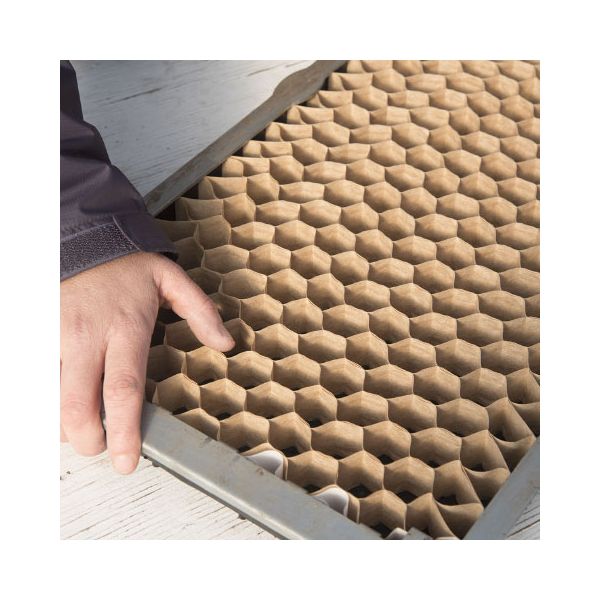 Tavita alveolara- 246 celule distantate la 10 cm