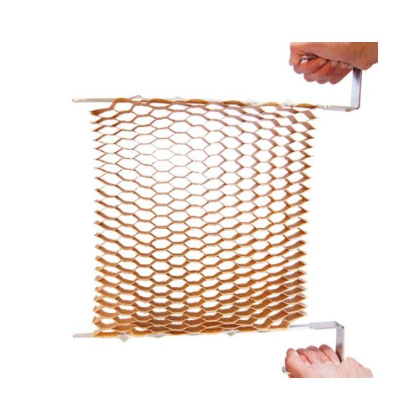 Tavita alveolara- 246 celule distantate la 15 cm