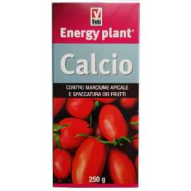Energy plant Calciu